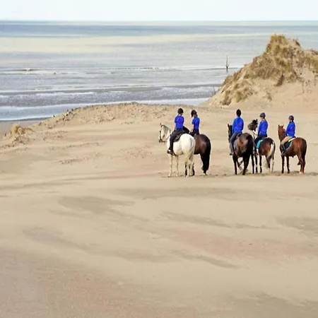 Near And Dune Forest * De Haan
