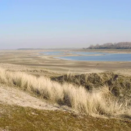Near And Dune Forest * De Haan