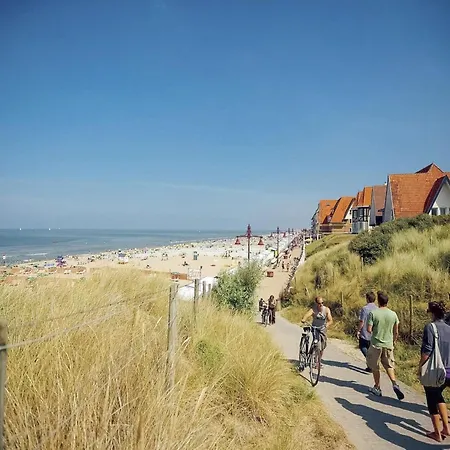 Near And Dune Forest